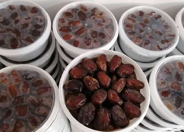 تصویر 5 از قیمت خرید خرمای کبکاب سطلی + فروش ویژه